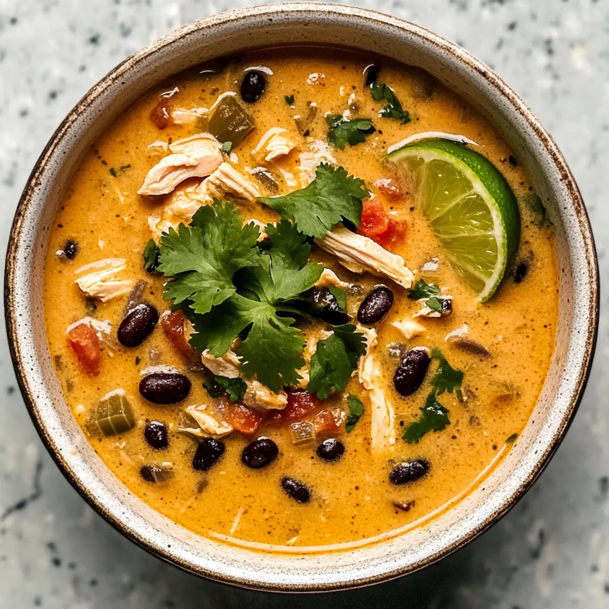 Einfache Hähnchen-, Poblano- und schwarze Bohnensuppe